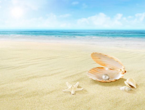 Pearl in seashell. - Photo, Image