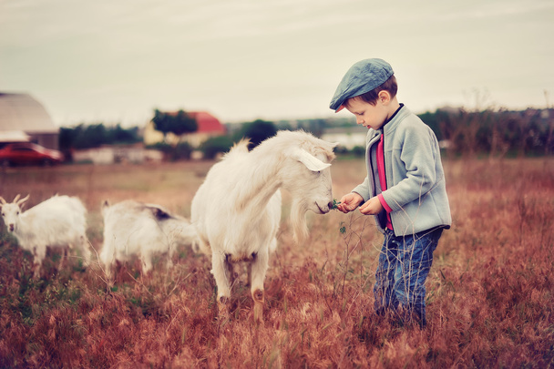 Small herdboy - Foto, Imagen