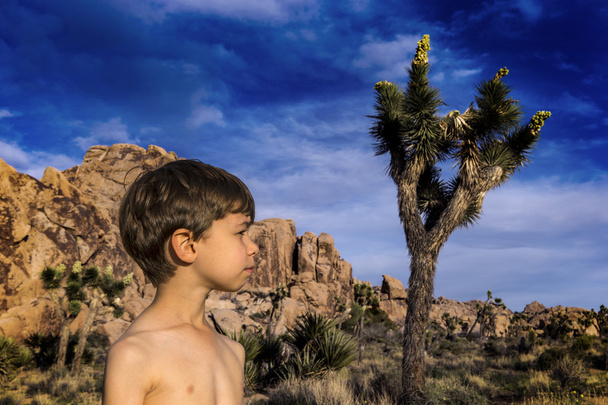 Jongen in profiel, Joshua Tree - Foto, afbeelding
