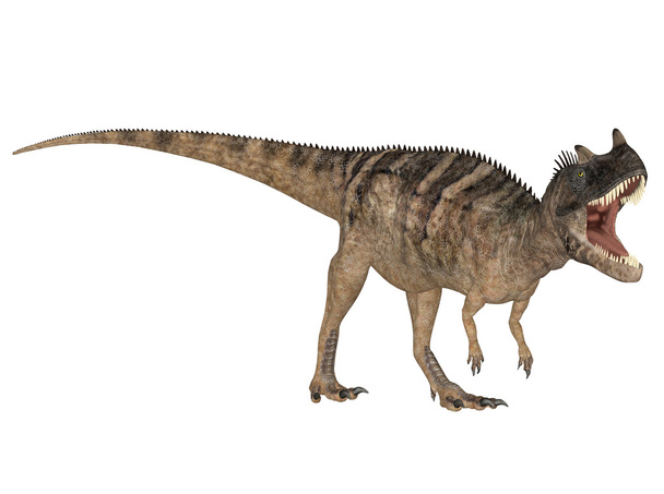 ceratosauro
 - Foto, immagini