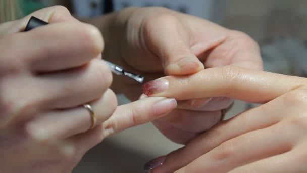 Nail technician dando al cliente una manicure al salone di bellezza. Giovane donna che riceve una manicure francese
. - Filmati, video