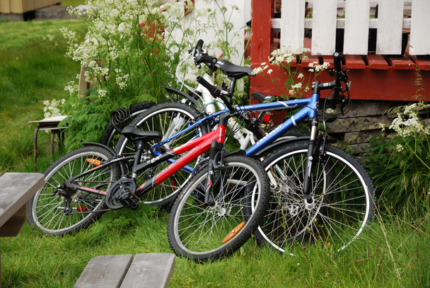 Bicicletas cerca de porche de madera en patio verde
. - Foto, Imagen