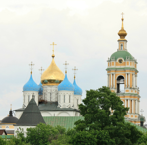 Domes of the Novospassky Monastery in Moscow - Фото, изображение