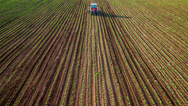 Campo de cultivo del tractor en primavera  - Foto, Imagen
