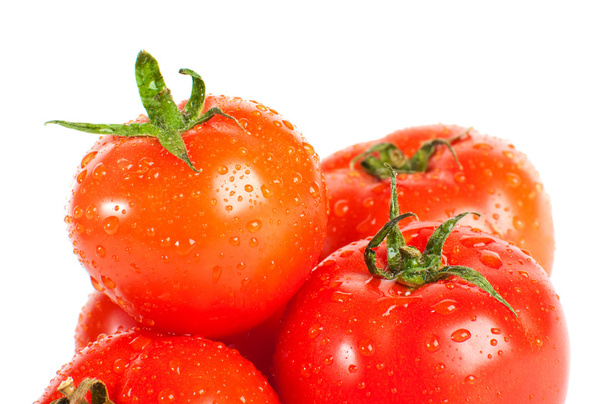 Tomatos - Zdjęcie, obraz