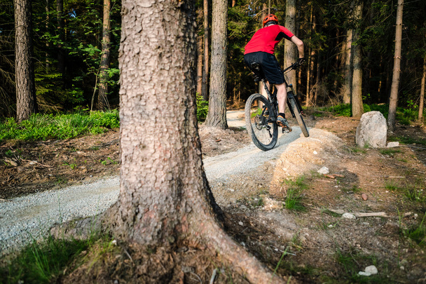 Катание на горных велосипедах в летнем лесу
 - Фото, изображение