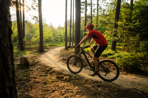 夏の森で自転車に乗る山のバイカー - 写真・画像