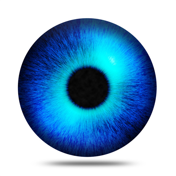 孤立した抽象的な青い目の瞳孔  - 写真・画像