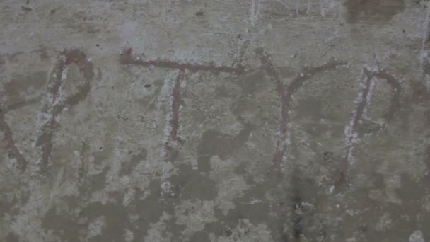 Neljän marttyyrin muinainen hauta Tonavan ja Mustanmeren välissä Scythiassa (nykyaikainen Romania)
 - Materiaali, video