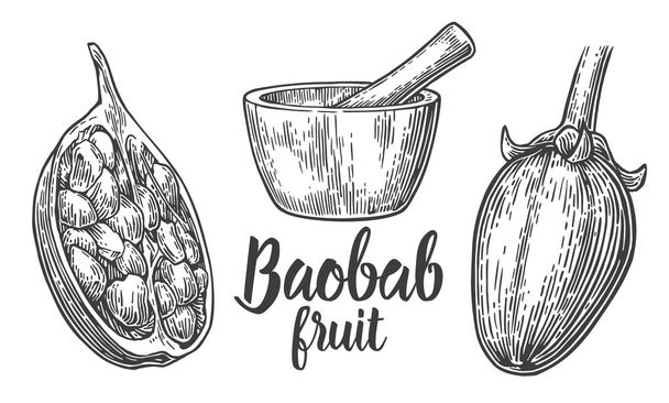Baobab fruit and seeds. Mortar and pestle. Vector vintage engraved illustration on white background. - Vector, afbeelding