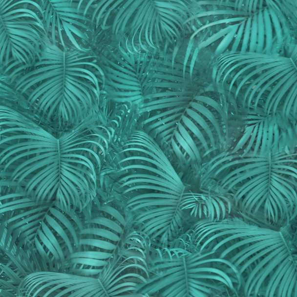 Tropical Pattern Background - Photo, Image