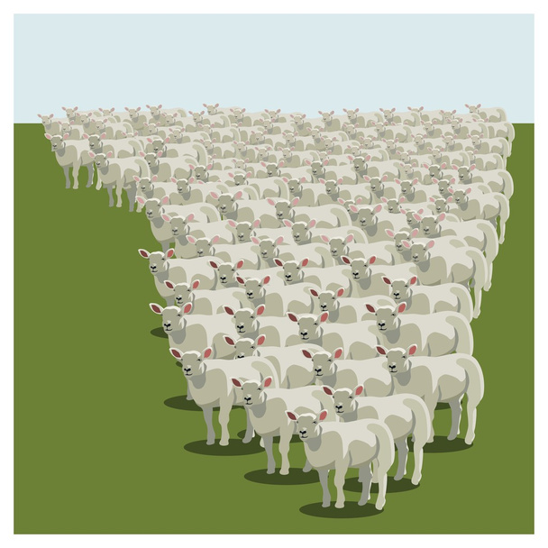 Animal sheep herd queuing, keeping together - Vector, Image