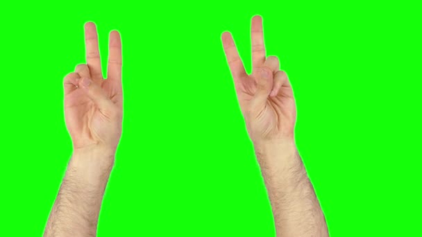 χέρια ειρήνη στην πράσινη οθόνη 4k - Πλάνα, βίντεο