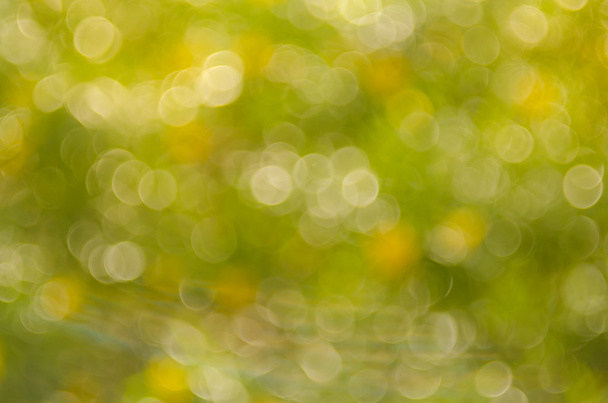 Green nature bokeh with sun light abstract background. - Photo, Image