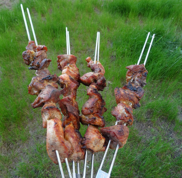 Roasted pieces of meat on skewers over green grass background  - Photo, Image