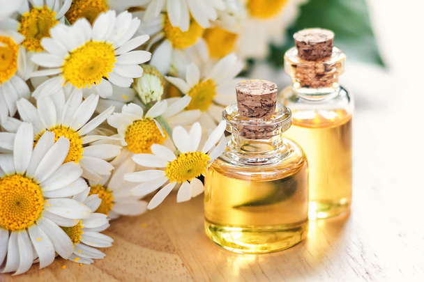 Essential oil in glass bottle with fresh chamomile flowers, beauty treatment. Spa concept. Selective focus. Fragrant oil of chamomile flowers, macro on wooden table horizontal.  - Photo, Image