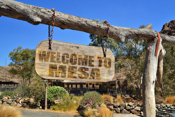 wood signboard with text " welcome to Mesa" hanging on a branch - 写真・画像