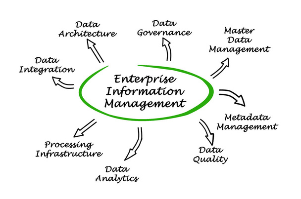 diagram of Enterprise Information Management - Photo, Image