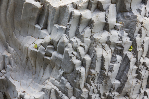 Basaltti kallioperään Gole Alcantara Sisiliassa, Italia
 - Valokuva, kuva