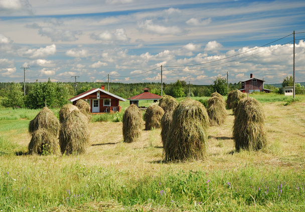Paysage rural finlandais avec des meules de foin vintage
 - Photo, image