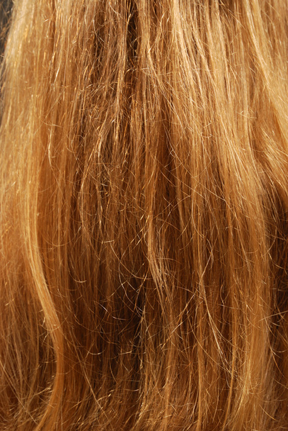 Close-up of natural fair hair - Photo, Image