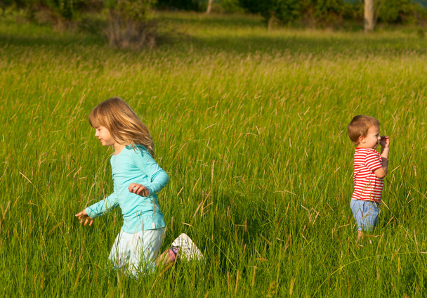 Brother and sister playing on the meadow on sunny summer day - Foto, afbeelding