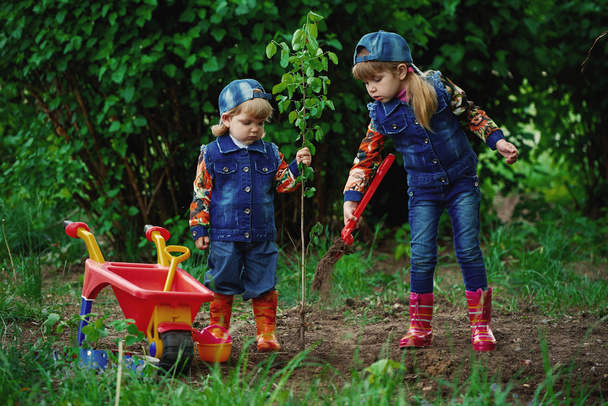 happy girls planting tree - Zdjęcie, obraz