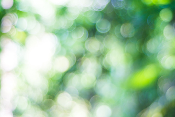 Bokeh blurred background green leaves. - Foto, Bild