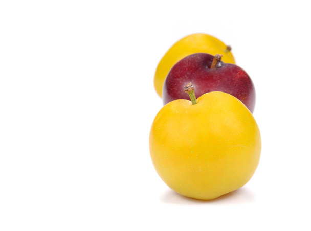 Yellow,Red Ripe plum on white background. - Фото, зображення