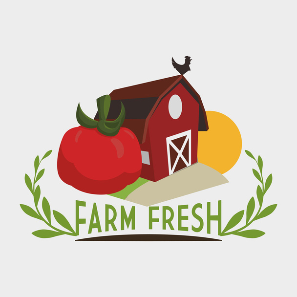 Farm friss design. Bioélelmiszerek. Egészséges életmód fogalma - Vektor, kép