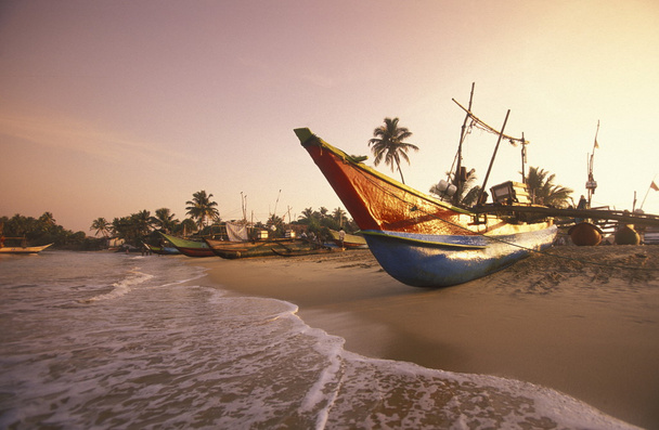 Dhoni Fishingboats na wybrzeżu Nagombo - Zdjęcie, obraz