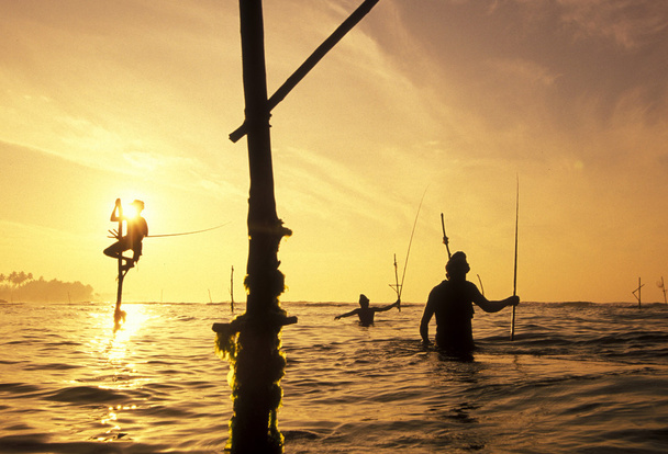 Weligaman rannikon kalastajat
 - Valokuva, kuva
