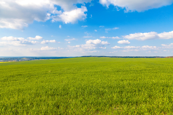 Piękne zielone pole z błękitnego nieba - Zdjęcie, obraz
