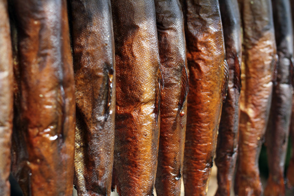 poissons fumés (truite
) - Photo, image