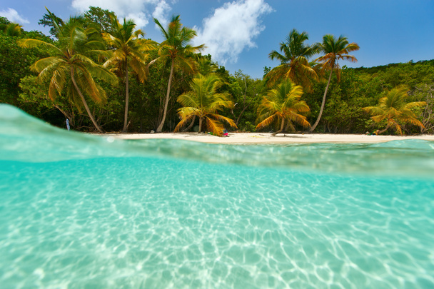 Bela praia tropical no Caribe
 - Foto, Imagem