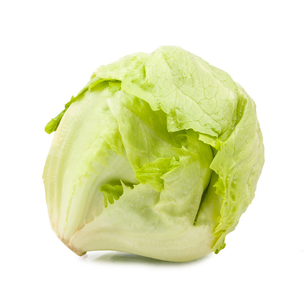 green  iceberg lettuce  - 写真・画像
