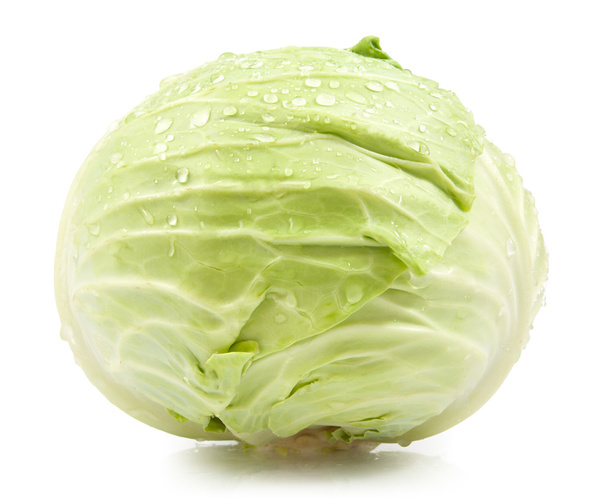 green cabbage isolated  - Фото, изображение