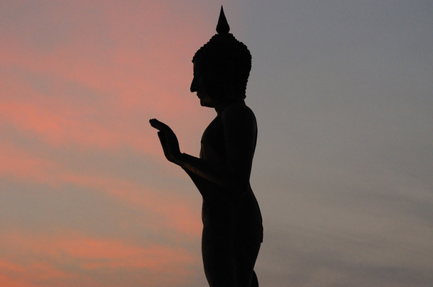 Buddha stát po západu slunce - Fotografie, Obrázek