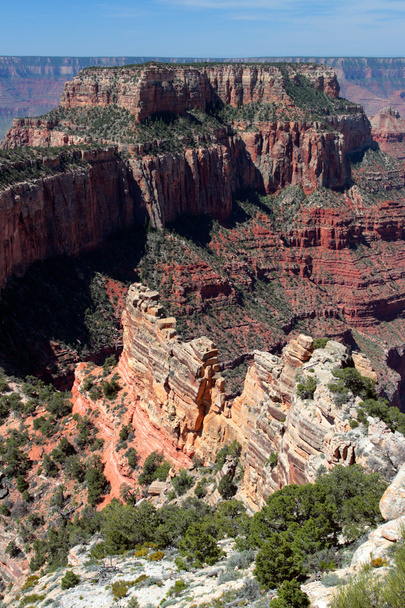 Grand Canyon National Park, Verenigde Staten - Foto, afbeelding