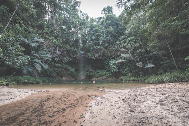 Dreamy wielokolorowy naturalny basen ukryty w gęstym i UMID Rainforest z Lambir Hills National Park, Borneo, Malezja.  - Zdjęcie, obraz