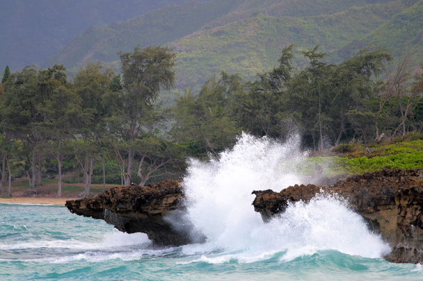 ハワイ ・ オアフ島 - 写真・画像