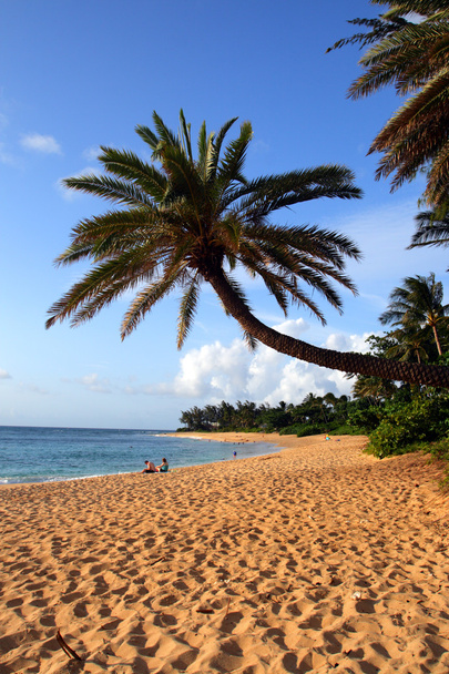 Sunset Beach, O 'ahu, Hawaii
 - Фото, изображение