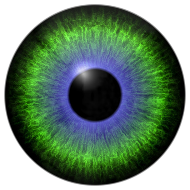 Groen - blauwe oog-iris - Foto, afbeelding