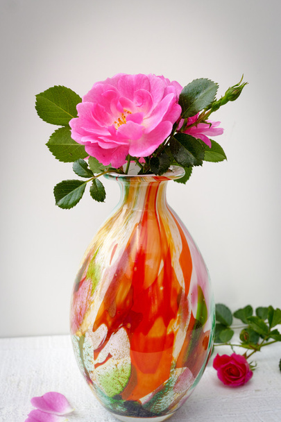 Small cololfrul glass vase with pink wild roses - 写真・画像