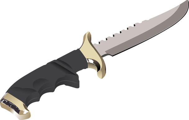 The vector image of a knife on a white b - Vector, imagen