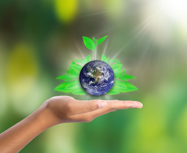 Земля под рукой с зеленым листом, элементы этого изображения предоставлены НАСА
 - Фото, изображение
