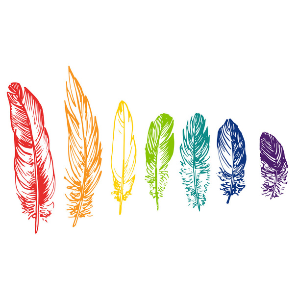 vector set of rainbow feathers - Διάνυσμα, εικόνα