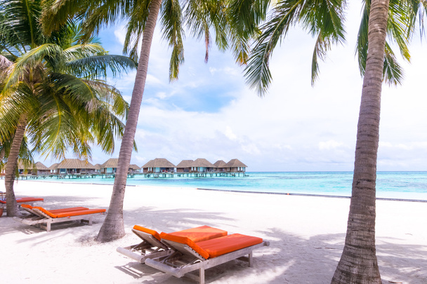spiaggia con bungalow acquatici alle Maldive. - Foto, immagini