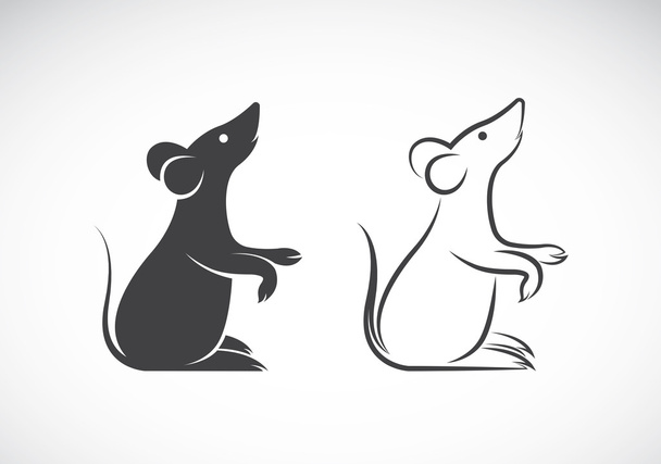 Vector image of an rat design on white background - Vector, Image