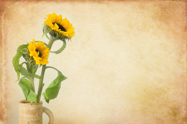 Sonnenblumen-Stillleben vor malerischem Hintergrund - Foto, Bild